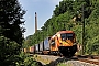 Siemens 21044 - TXL "ES 64 U2-072"
27.07.2019 - Großpürschütz
Christian Klotz