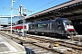 Siemens 21045 - DB Fernverkehr "182 573-6"
06.04.2010 - Basel
Vincent Torterotot