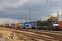 Siemens 21054 - TXL "ES 64 U2-062"
21.10.2017 - Basel, Badischer Bahnhof
Theo Stolz