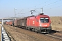 Siemens 21074 - ÖBB "1116 171-8"
25.02.2011 - Straubing-Eglsee
Leo Wensauer