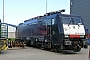 Siemens 21076 - MRCE Dispolok "ES 64 F4-990"
01.07.2012 - Rotterdam-Waalhaven, Shunter werkplaats
Bastiaan Blinksma