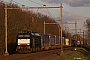 Siemens 21084 - DB Cargo "189 098-7"
19.03.2022 - Horst (Maas)-AmericaIngmar Weidig