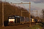 Siemens 21084 - DB Cargo "189 098-7"
19.03.2022 - Horst (Maas)-America
Ingmar Weidig