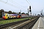 Siemens 21088 - ÖBB "1216 141"
14.10.2013 - Wien
Ludwig GS