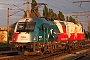 Siemens 21089 - ÖBB "1216 226"
19.04.2009 - Wien, Südbahnhof (Ostseite)
Gábor Árva