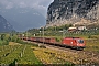 Siemens 21091 - ÖBB "1216 003"
01.11.2013 - Ossenigo
Marco Stellini