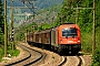 Siemens 21091 - ÖBB "1216 003"
29.05.2017 - Campo di Trens
Peider Trippi