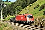 Siemens 21091 - ÖBB "1216 003"
06.09.2018 - St. Jodok am Brenner
Kurt Sattig