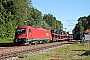 Siemens 21095 - ÖBB "1216 007"
18.07.2022 - Aßling (Oberbayern)
Tobias Schmidt