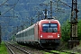 Siemens 21099 - ÖBB "1216 227"
11.08.2011 - Ústí nad Orlicí
Maciej Malec