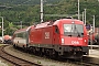 Siemens 21105 - ÖBB "1216 233"
08.08.2008 - Leoben, Hauptbahnhof
Gábor Árva