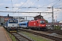 Siemens 21110 - ÖBB "1216 238"
24.07.2016 - Brno, hlavní nádražíMarcus Schrödter
