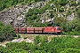 Siemens 21117 - ÖBB "1216 145"
01.06.2025 - Zanigrad
Tobias Schmidt