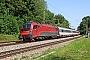 Siemens 21131 - ÖBB "1216 017"
19.06.2024 - Assling (Oberbayern)
Tobias Schmidt
