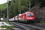 Siemens 21135 - ÖBB "1216 019"
15.05.2010 - Gries 
Ferdinando Ferrari