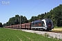 Siemens 21136 - ÖBB "1216 025"
28.06.2010 - Kematen a.d. Krems
Martin Radner