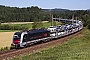 Siemens 21136 - ÖBB "1216 025"
24.06.2012 - Lasberg-St.Oswald
Martin Radner