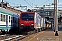 Siemens 21142 - SBB Cargo "474 018"
20.01.2012 - Milano LambrateLuca Pozzi