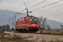 Siemens 21166 - SŽ "541-007"
08.01.2019 - Črnotiče
Matej Pavlica