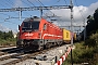 Siemens 21175 - SŽ "541-107"
08.08.2024 - Borovnica
Ingmar Weidig