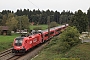 Siemens 21200 - ÖBB "1116 251"
12.09.2023 - Ufering
Stefan Motz