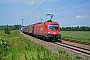 Siemens 21202 - ÖBB "1116 253"
31.05.2017 - Gramatneusiedl
Marcus Schrödter