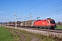 Siemens 21204 - ÖBB "1116 255"
12.11.2013 - Grieskirchen-Gallspach
Martin Radner