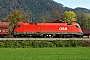 Siemens 21210 - ÖBB "1116 261"
25.10.2013 - NiederaudorfJens Bieber