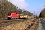 Siemens 21211 - ÖBB "1116 262"
08.03.2018 - Tostedt-Dreihausen
Nico Daniel