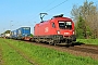 Siemens 21213 - ÖBB "1116 264"
07.05.2022 - Dieburg Ost
Kurt Sattig