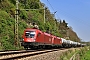 Siemens 21218 - ÖBB "1116 269"
03.05.2022 - Großpürschütz
Christian Klotz