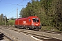 Siemens 21221 - ÖBB "1116 272-4"
08.05.2008 - Ederbauer
Werner Brutzer