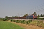 Siemens 21233 - Nordcargo "E 474 201 NC"
23.08.2012 - Melegnano
Alessandro Destasi