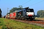 Siemens 21236 - TXL "ES 64 F4-023"
17.09.2014 - Altheim (Hessen)
Kurt Sattig