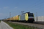 Siemens 21237 - TXL "ES 64 F4-024"
25.05.2012 - Kissing
Thomas Girstenbrei