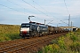 Siemens 21241 - CTL "ES 64 F4-028"
09.08.2009 - Großkorbetha
Nils Hecklau