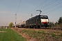 Siemens 21241 - CTL "ES 64 F4-028"
10.04.2009 - Falkenberg (Elster)
Dany Neumann