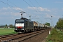 Siemens 21246 - CTL "ES 64 F4-033"
13.04.2009 - Babenhausen
Albert Hitfield