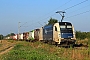 Siemens 21320 - WLC "1216 950"
31.07.2015 - Dieburg
Kurt Sattig