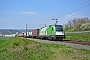 Siemens 21415 - WLC "1216 954"
21.04.2017 - Karlstadt (Main)
Marcus Schrödter