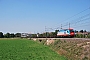 Siemens 21462 - InRail "190 311"
19.08.2011 - Ponte San Marco
Alessandro Destasi