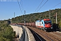 Siemens 21462 - InRail "190 311"
23.10.2012 - Monfalcone
Marco Stellini