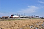 Siemens 21462 - InRail "190 311"
05.03.2014 - Trecate
Marco Stellini