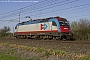 Siemens 21462 - InRail "190 311"
28.03.2014 - Polesella
Riccardo Fogagnolo