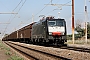 Siemens 21473 - NORDCARGO "ES 64 F4-402"
11.08.2009 - Colle Mattia
Marco Sebastiani