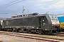 Siemens 21475 - DB Schenker "ES 64 F4-404"
15.08.2015 - Chiasso
Theo Stolz