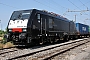 Siemens 21476 - Rail Italia "ES 64 F4-405"
08.07.2010 - Pomezia - S. Palomba
Marco Sebastiani