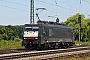 Siemens 21480 - TXL "ES 64 F4-036"
24.06.2010 - Niederschopfheim
André Grouillet