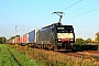 Siemens 21480 - TXL "ES 64 F4-036"
31.08.2015 - Münster (Dieburg)
Kurt Sattig