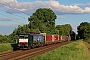 Siemens 21488 - TXL "ES 64 F4-281"
19.05.2016 - Bornheim
Sven Jonas